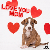 I Love Mom Gifs Get The Best Gif On Giphy I Love Mom Gifs Get The Best Gif On Giphy