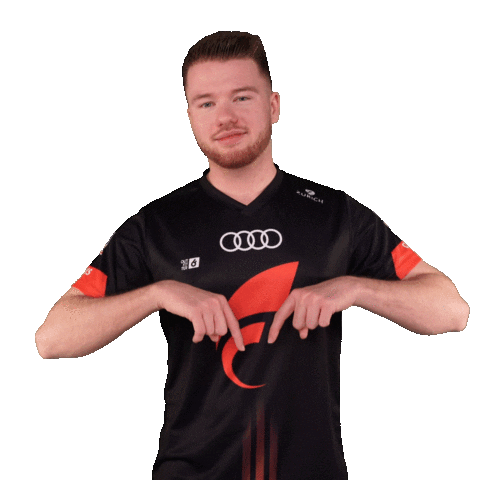 Pointing Fifa20 Sticker by STARK ESPORTS