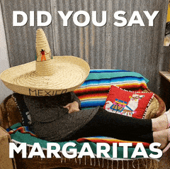 Margarita's meme gif