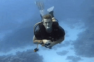 Scuba GIF