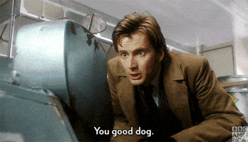Doctor Who Dog GIF by BBC America