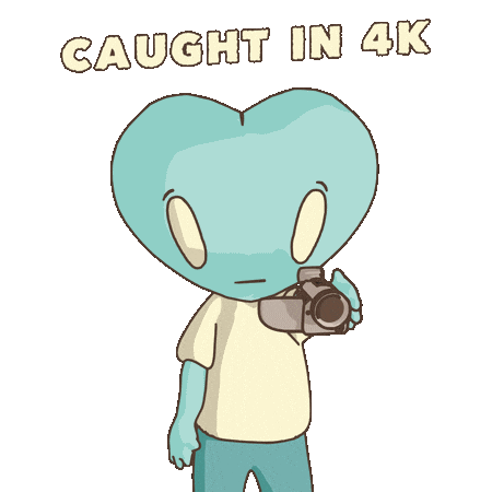4K Screenshot Sticker by LT3 Creations