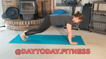 Planks GIF