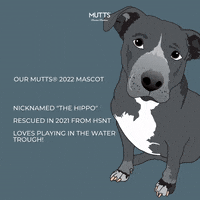 Lizzy GIF by MUTTS Canine Cantina