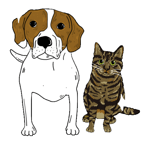 Cat Dog Sticker by ptrzykd