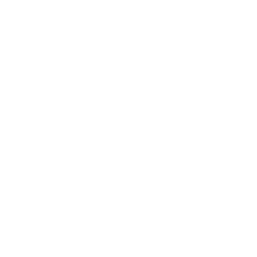 Festival House Sticker by Lion