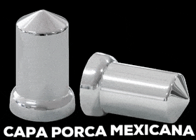 Nicolini Acessórios GIF