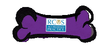 Pss Sticker by theRCVS