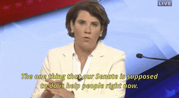 Amy Mcgrath GIF by Election 2020