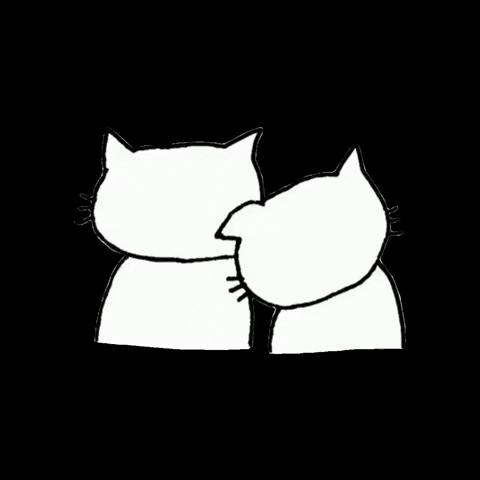 Gatitosentimental GIF