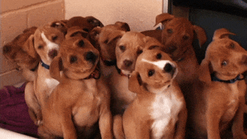 200_s.gif