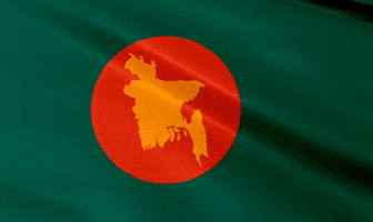 Bangladesh Football Flag GIF
