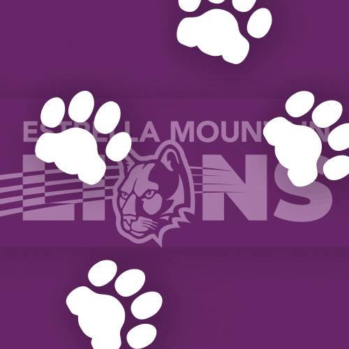 Mountainlion GIF by Estrella Mountain Community College