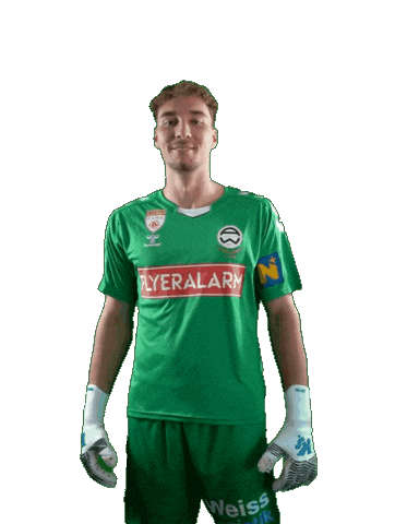 Admira Sticker by KSV1919