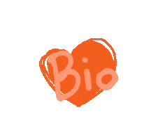 Molens van Oudenaarde Sticker