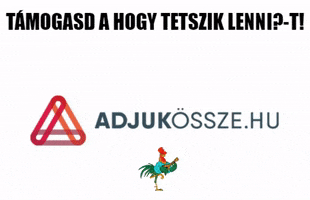 Fesztivál Önkéntes Központ GIF