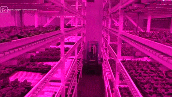 AgriNovus Indiana GIF