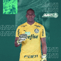 Puma Verde GIF by SE Palmeiras