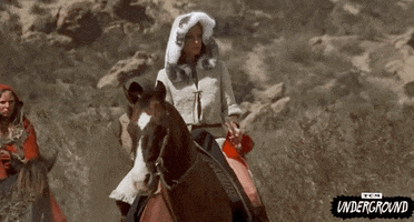 Cult Classic GIF by Turner Classic Movies