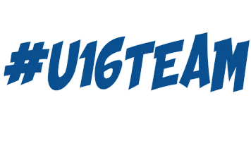 Tasskiracing Sticker by TASSkiTeam