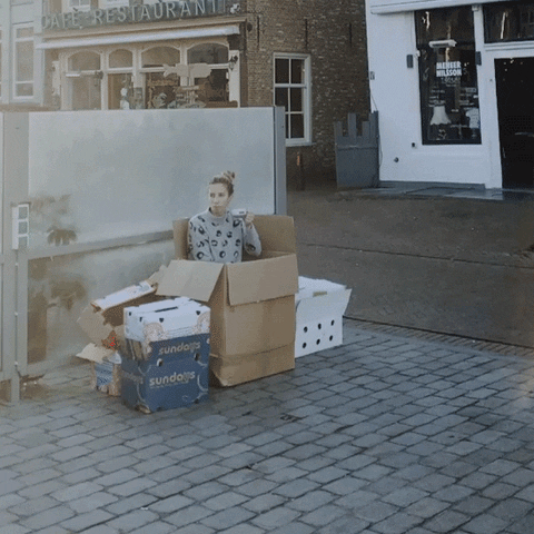 Meneer Nilsson GIF