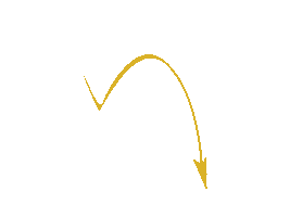 FlorenzaLife Sticker