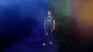 Meow Wolf Home Kit GIF by New Mexico United