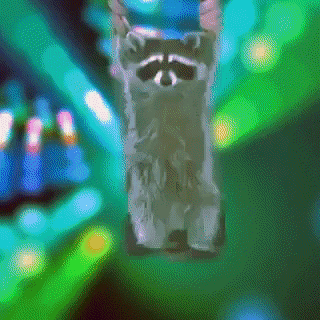Party GIF