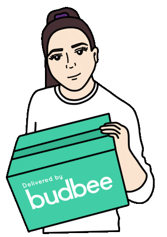 Shopping Delivery Sticker by Budbee
