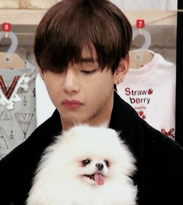 Kim Taehyung V GIF - Find & Share on GIPHY