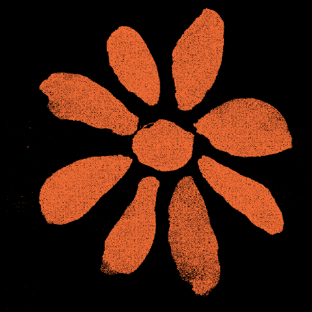 Festival Indie GIF by Pop Montreal