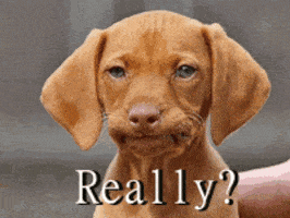 200_s.gif