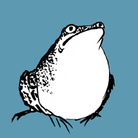 Frog Croaking GIF by pauliencornelisse