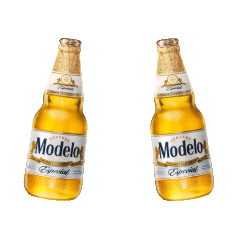 Ano Nuevo Modelo Sticker by Cerveza Busch Light for iOS & Android | GIPHY