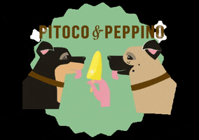 Le Botteghe di Leonardo Brasil GIF