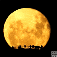 Gather Full Moon GIF by BBC America