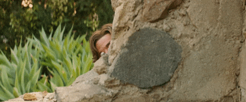 Cage GIF by The Unbearable Weight of Massive Talent