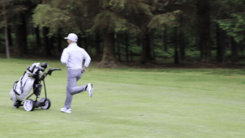 Scotland GIF