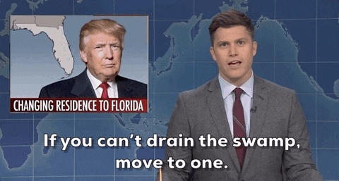 Snl GIF by Saturday Night Live - Find & Share on GIPHY