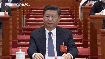 China GIF by euronews
