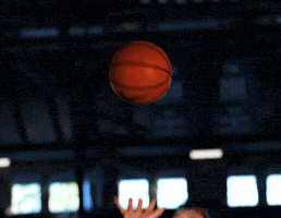 Olivia Hastings GIF by Butler University Athletics