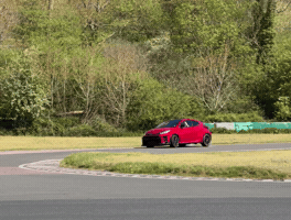 Rally GIF