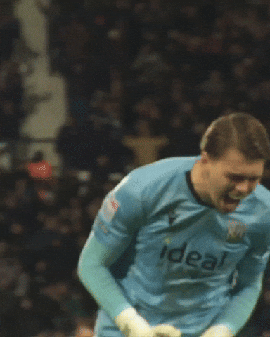 West Brom Wba GIF by West Bromwich Albion