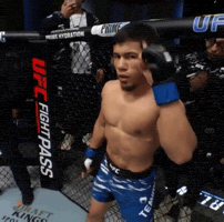 Ufc Uzbekistan GIF