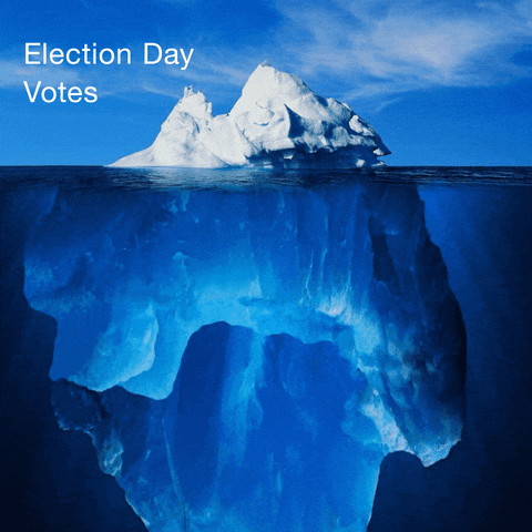 Right To Vote Election Day GIF by Creative Courage