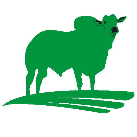 Granusa Beef Sticker by Granusa Paraguay