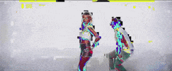 Die Antwoord Glitch GIF by systaime