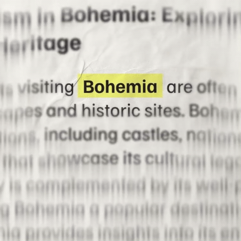 Bohemia GIF by oncegovt