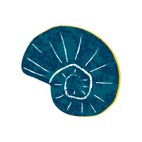 Shell Snail Sticker by UC Davis Coastal and Marine Sciences Institute
