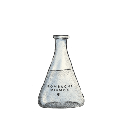 Kombucha Sticker by Beto THOI